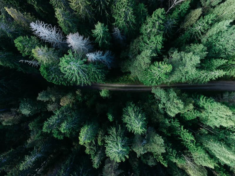 Technology That Cares for the Planet